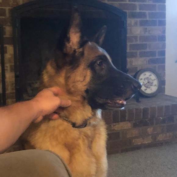 Meet your Posher, Debbie - Picture 7 of 8